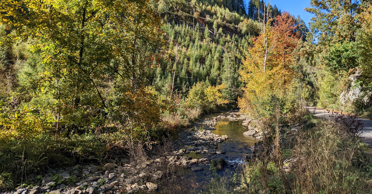 Hiking Vallée de la Warche